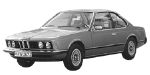 BMW E24 P1029 Fault Code