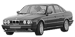 BMW E34 P1029 Fault Code