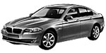 BMW F10 P1029 Fault Code